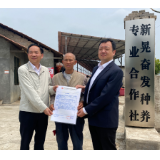黄牛保险提标 中华财险助力新晃县黄牛产业发展