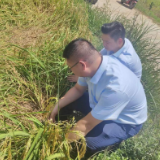 中国太保产险芷江支公司积极应对高温干旱天气 及时开展查勘理赔工作