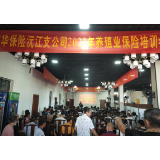 中华财险沅江支公司积极推介“信贷直通车” 创新金融服务获赞誉