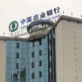平凡“小事”中的服务温度 农行张家界分行倾力推进服务升温工程