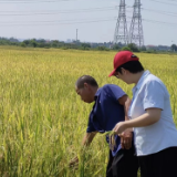 以金融力量守护百姓口粮 长沙农商银行新康支行阳光服务“三农”纪实