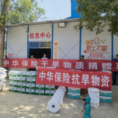 中华财险望城区支公司捐赠抗旱救灾物资 助力农户抗旱