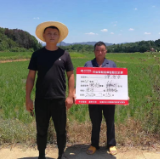 中华保险望城支公司试点国源科技新技术 实现水稻保险承保
