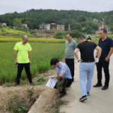 中华财险邵阳中支：心系灾情到田间 做好农业“保护神”