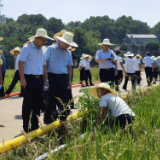 中华财险宁乡市支公司参加抗旱救灾捐赠 助力宁乡抗旱保丰收