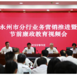 农发行永州市分行召开业务营销推进暨节前廉政教育视频会