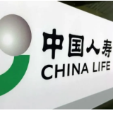 中国人寿为NYBO小球员提供近百亿元风险保障 助力青少年圆梦篮球 