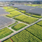 农发行益阳市分行年投放超百亿元信贷资金助力益阳新时代“山乡巨变”