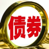 今年以来熊猫债放量发行超1200亿元