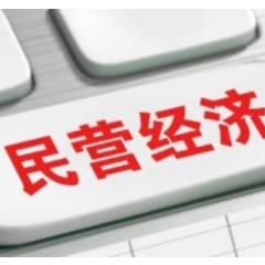 “支持民营经济25条”，哪些提法值得关注？