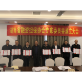 行业“智库”推动行业发展 湖南省融资担保协会专家委员会在长沙成立