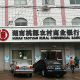 桃源农商银行：6000万金融“春水”助力高标准农田建设