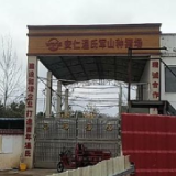 保险助农产品库之“助力农业特色产业”：“能繁母猪保险”为生猪养殖企业提供风险保障 