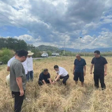 保险助农产品库之“助力粮食安全”：抗旱救灾保险助力打赢粮食丰收保卫战