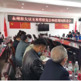 保险助农产品库之“助力农业特色产业”：大豆玉米带状复合种植收入“保险+期货”落地祁阳