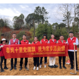 湖南人保财险各级机构积极开展义务植树志愿活动