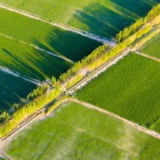 农险要更有效化解风险