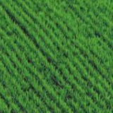 构筑多层次惠农保险体系 上市险企护航乡村振兴