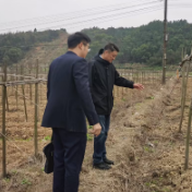 株洲农商银行：浇灌金融“活水”助力春耕备耕