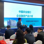 农行株洲分行：精准发力出实招 市场回暖添活力