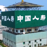 中国人寿：持续打好支持成渝地区双城经济圈建设综合金融牌