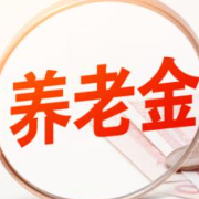 个人养老金保险产品已扩容至32款 头部险企抢占先机