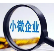 中国银保监会要求今年小微企业金融服务继续增量扩面