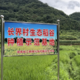 工行湖南分行驻长界村工作队:助力乡村振兴 消费帮扶“鲜”行