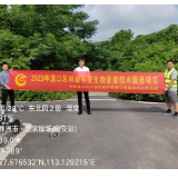 无人机赋能 中华财险株洲渌口区支公司开展林业有害生物普查技术服务项目