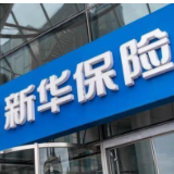 跑赢市场!新华保险上半年总投资收益219亿元