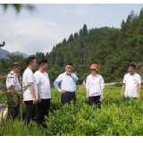 湖南省融资担保集团到张家界永定区王家湾村调研驻村帮扶工作