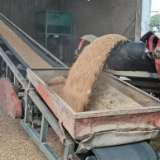 农发行湘潭市分行:立足主责主业 守护地方粮食安全