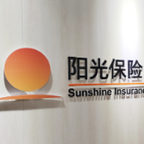 阳光财险：发挥主业优势 全力护航共建“一带一路”