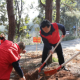 湖南农担开展“植树播绿”学雷锋志愿服务活动