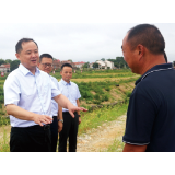 服务“三农” 服务县域 服务本土 记湖南农信系统赋能乡村振兴的责任与担当