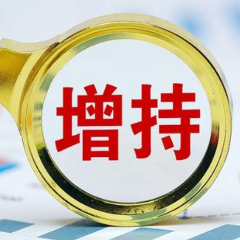 “国家队”出手增持 工行、农行、中行、建行集体发布公告！