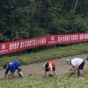 湘乡农商银行：送金融服务到田间 助力春耕生产