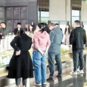 试水“以旧换新”，长沙楼盘喜迎客