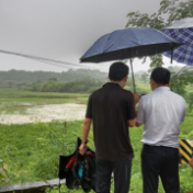 连续暴雨引发水灾 中华财险邵东市支公司迅速行动保障农户利益