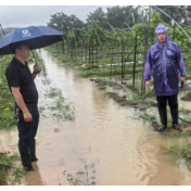 暴雨中的坚守与担当：中华财险湖南分公司闻“汛”而动 高效理赔