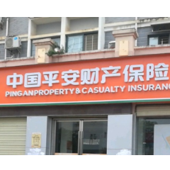 平安产险推出八项应急服务举措快速应对岳阳洞庭湖决堤险情