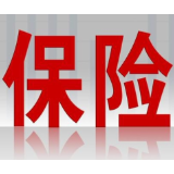 险企相继入局 护航低空经济“稳起飞”