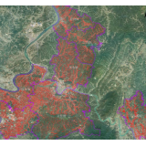 科技赋能“双精准” 中华财险衡东县支公司试点农险服务新模式