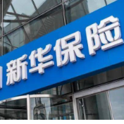 资负共振驱动新华保险业绩跃升 投资领跑、队伍收入上涨、分红险受青睐