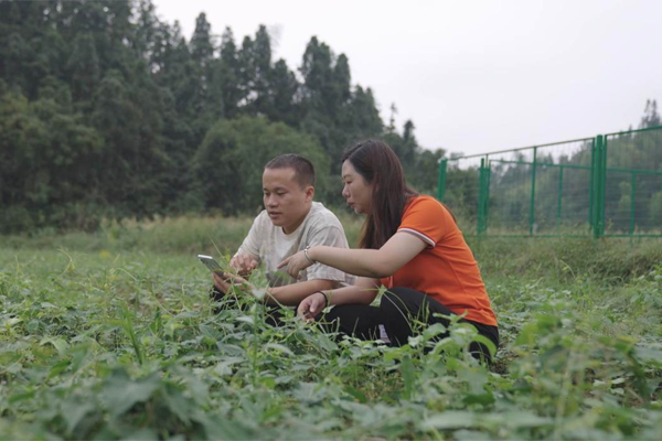 图片3.png 图片3.png