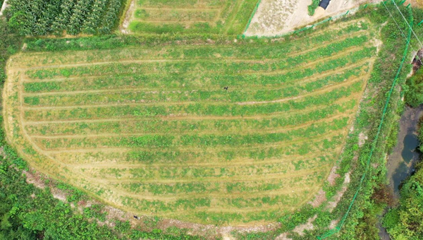 图片4.png 图片4.png