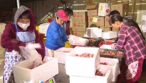 图片5.png 图片5.png