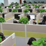 保险电话销售为何退潮?