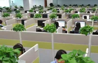 保险电话销售为何退潮？