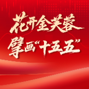 花开金芙蓉，擘画“十五五” 上市湘企迈向高质量发展新阶段